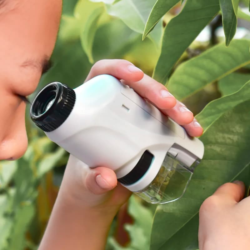 Microscope de poche – Découverte Fascinante 60-120X