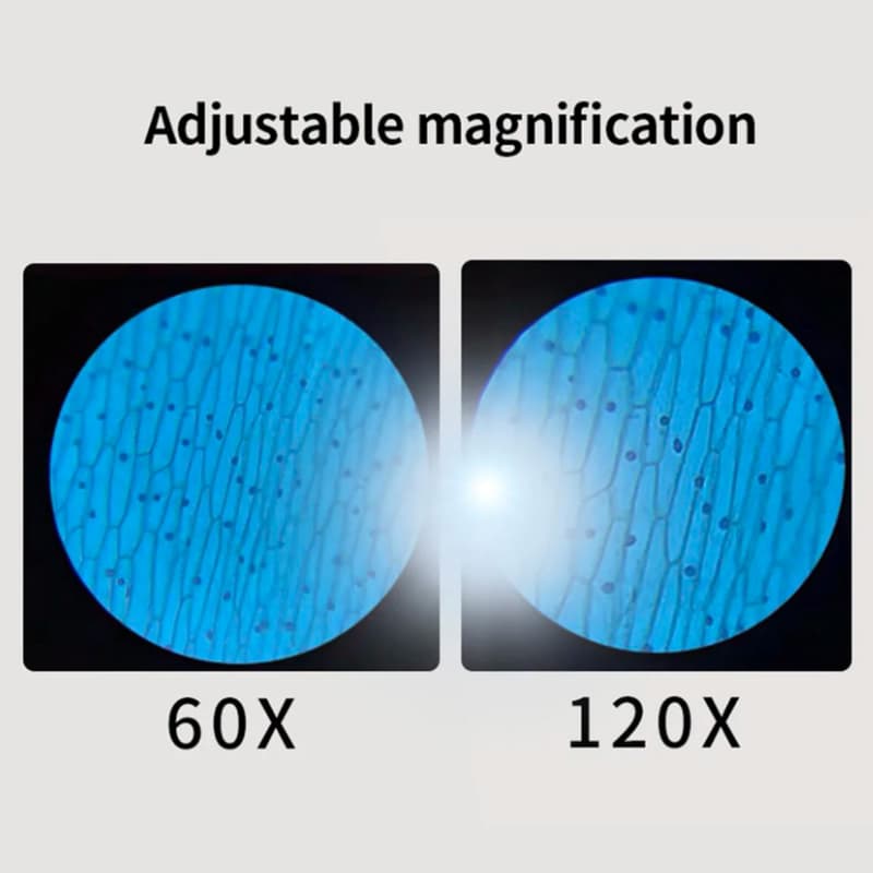 Microscope de poche – Découverte Fascinante 60-120X