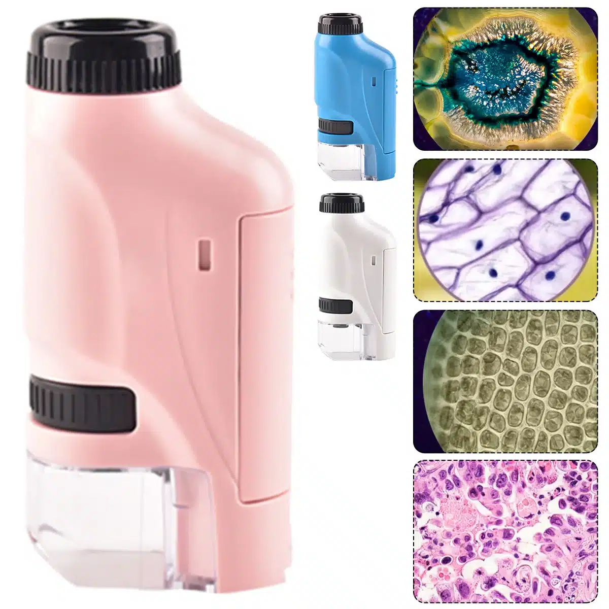Mini microscope LED pour enfants