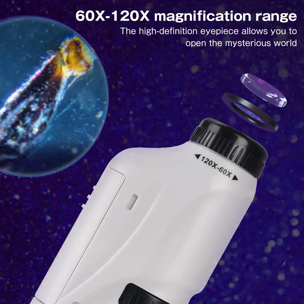 Observation scientifique avec microscope